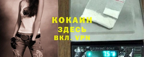 прущая мука Армянск