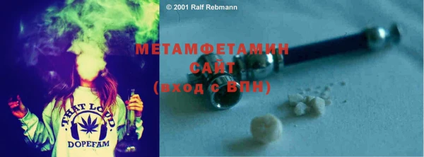 сатива Аркадак