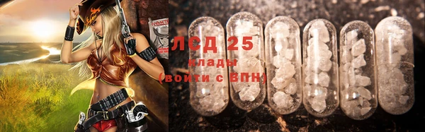 сатива Аркадак