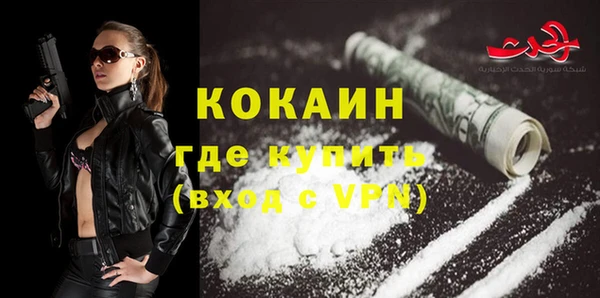 прущие грибы Нягань