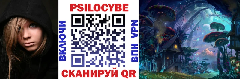 цена   Медвежьегорск  Псилоцибиновые грибы Psilocybine cubensis 